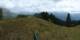 Braunwald Di. 21.7.