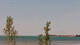 Lindau (Bodensee) Di. 21.7.