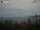 Triest Di. 21.7.
