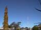 Wairoa Mi. 22.7.