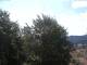 Gmund am Tegernsee Mi. 22.7.