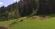 Going am Wilden Kaiser Mi. 22.7.