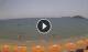Formia Mi. 22.7.