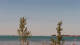 Lindau (Bodensee) Mi. 22.7.
