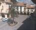 Forcall Mi. 22.7.
