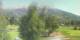 Barcelonnette Do. 23.7.