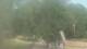 Fairview, Tennessee Do. 23.7.