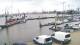 Delfzijl Do. 23.7.