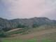 Cantalupo Ligure Do. 23.7.