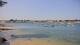 Île-Tudy Do. 23.7.