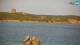 Vignola Mare (Sardinien) Do. 23.7.