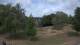 Steinbrunn Do. 23.7.