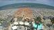Cattolica Do. 23.7.