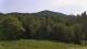 Shrewsbury, Vermont Do. 23.7.