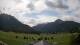 Toblach (Dolomiten) Do. 23.7.