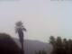 El Paso (La Palma) Do. 23.7.