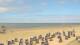 Norderney Fr. 24.7.