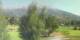 Barcelonnette Fr. 24.7.
