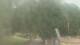 Fairview, Tennessee Fr. 24.7.