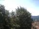 Gmund am Tegernsee Fr. 24.7.