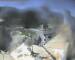 Sestriere Fr. 24.7.