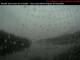 Prince Rupert Fr. 24.7.