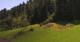 Going am Wilden Kaiser Fr. 24.7.