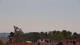 Owingen Fr. 24.7.
