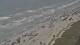 North Myrtle Beach, South Carolina Fr. 24.7.
