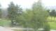 Barcelonnette Sa. 25.7.