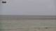 Carcavelos Sa. 25.7.