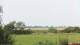Nordstrand Sa. 25.7.
