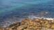 Malpica Sa. 25.7.
