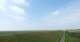 Westerhever Sa. 25.7.