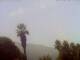 El Paso (La Palma) Sa. 25.7.