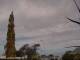 Wairoa So. 26.7.