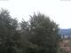 Gmund am Tegernsee So. 26.7.