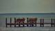 Bokeelia, Florida So. 26.7.