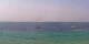 Le Lavandou So. 26.7.