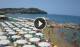 Agropoli So. 26.7.