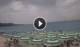 Marina di Zambrone So. 26.7.