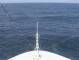 Costa Diadema So. 26.7.