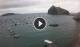 Ischia So. 26.7.