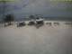 Kuredu Island (Lhaviyani-Atoll) So. 26.7.