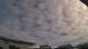 Carrum So. 26.7.