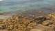 Malpica So. 26.7.
