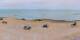 Donville-les-Bains So. 26.7.