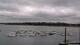 Dinard So. 26.7.