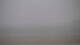 Borkum So. 26.7.