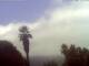 El Paso (La Palma) So. 26.7.